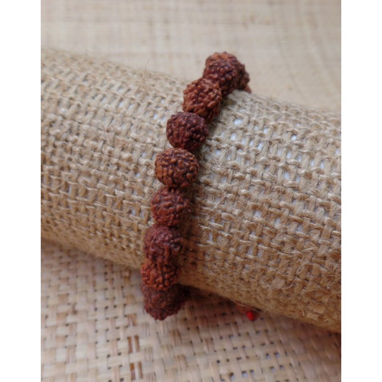 Bracelet mala 24 perles rudraksha 2