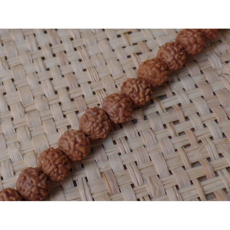 Mala 65 cm Rudraksha 