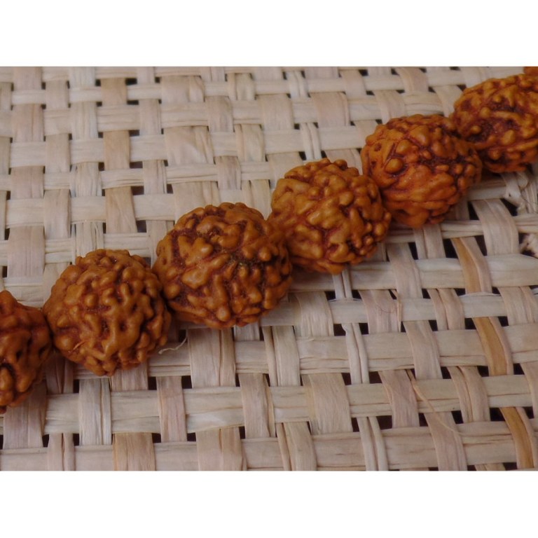 Mala 95 cm Rudraksha