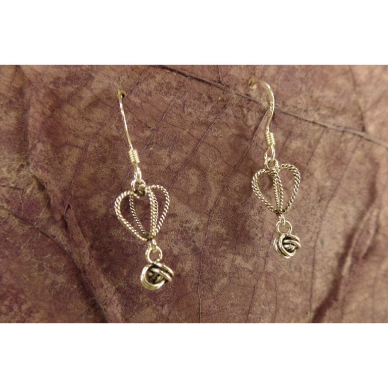 Boucles d'oreilles cage