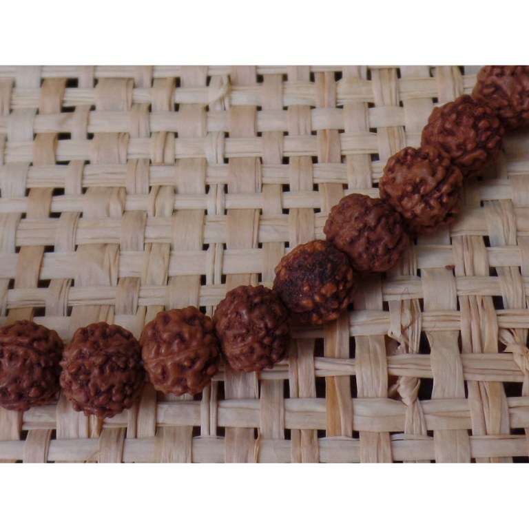 Mala 70 cm Rudraksha