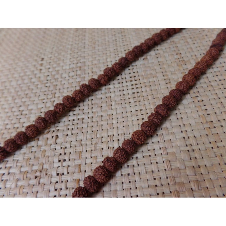 Mala 70 cm Rudraksha