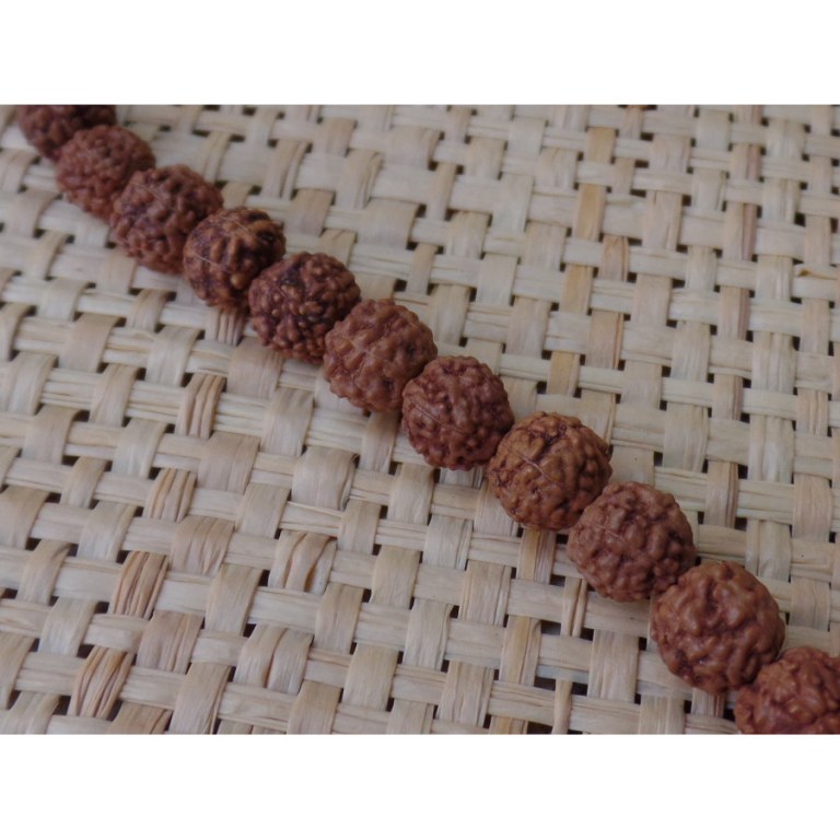 Mala 70 cm Rudraksha