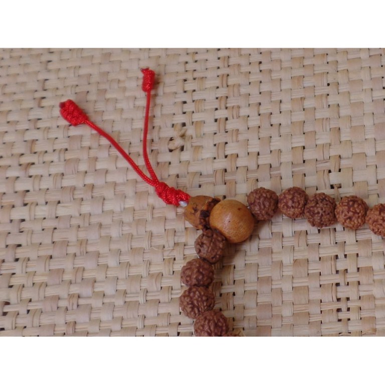 Mala 70 cm Rudraksha