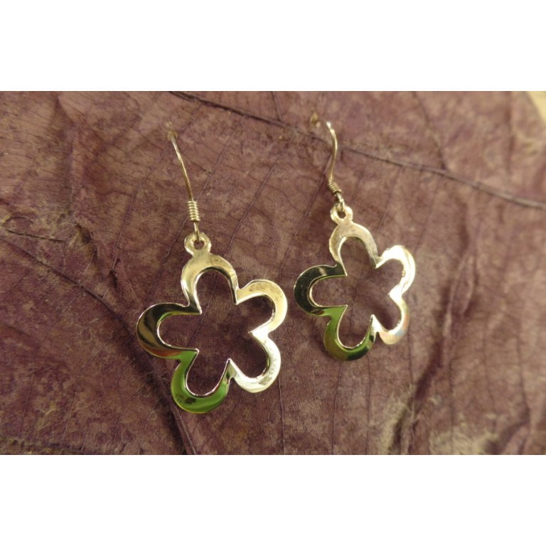 Boucles d'oreilles fleurs