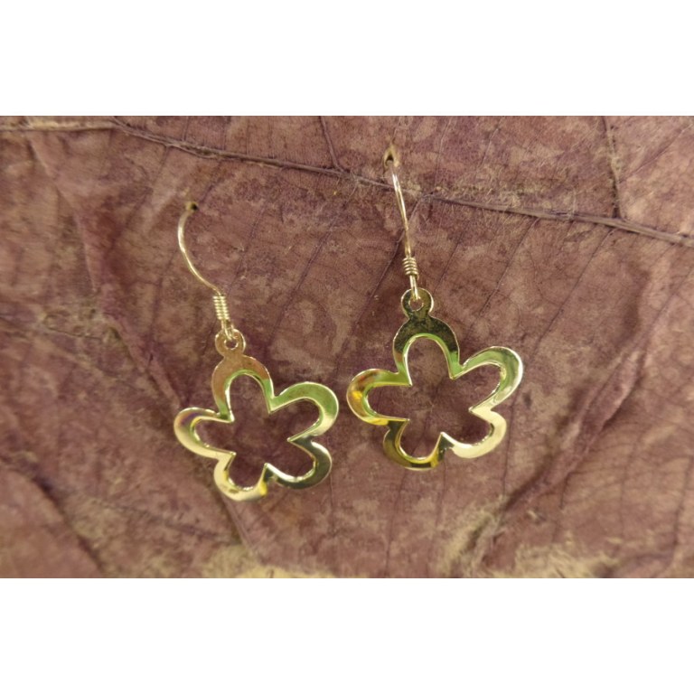 Boucles d'oreilles fleurs