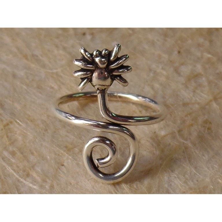 Bague d'orteil spirale et araignée