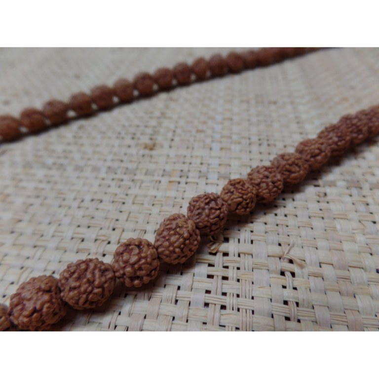 Mala 108 cm Rudraksha/turquoise/corail