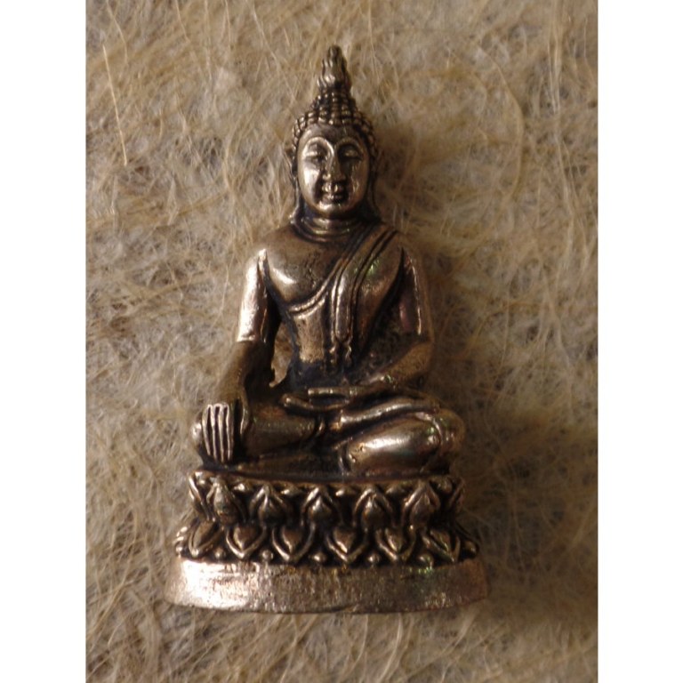 Miniature Bouddha bhumispashamudra gris
