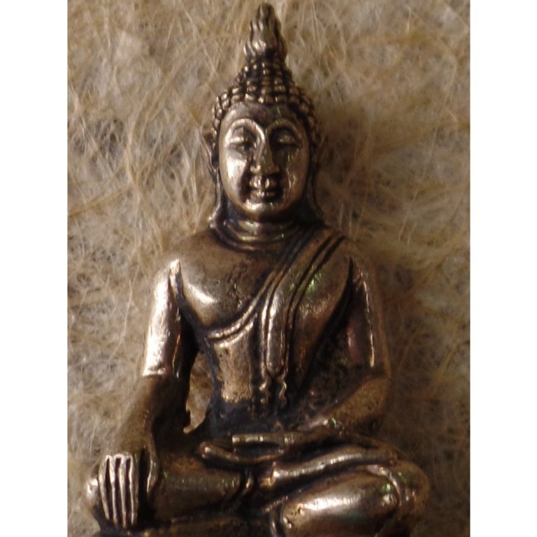 Miniature Bouddha bhumispashamudra gris