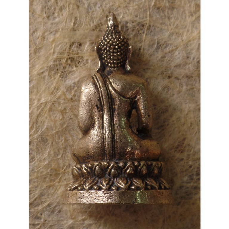 Miniature Bouddha bhumispashamudra gris