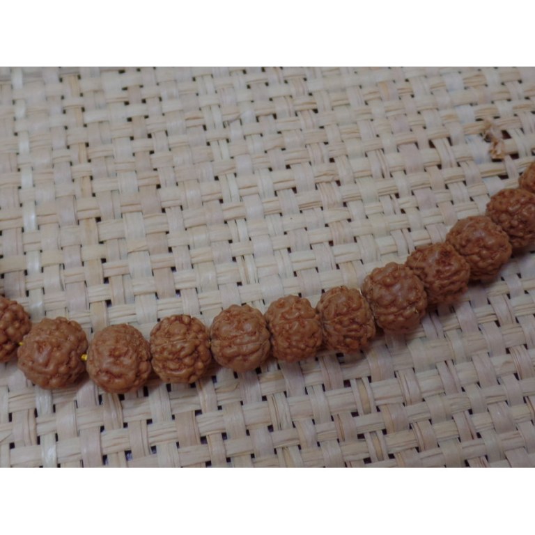 Mala 85 cm Rudraksha 1