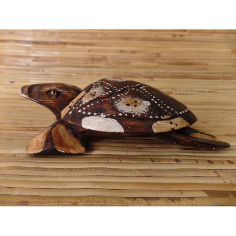 Tortue Kalimantan 6