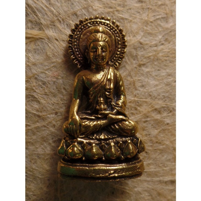 Miniature Bouddha médecin auréolé