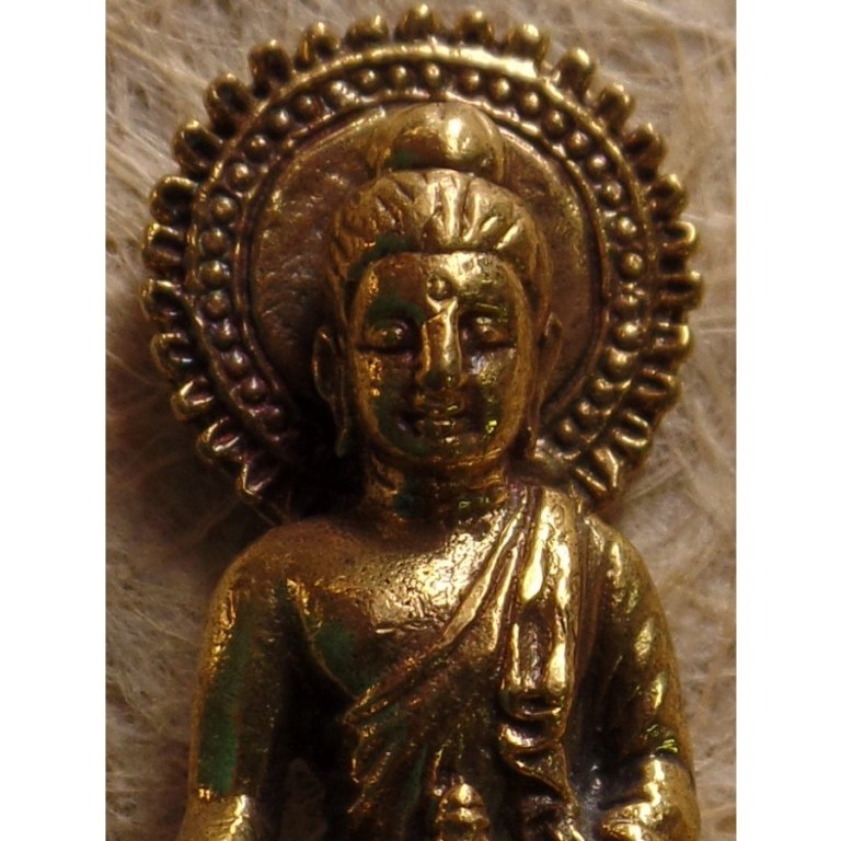 Miniature Bouddha médecin auréolé