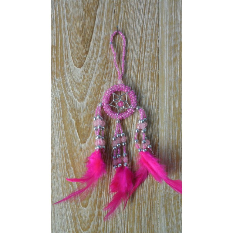 Dreamcatcher rose mini Aat 