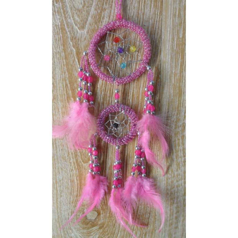 Dreamcatcher rose adak