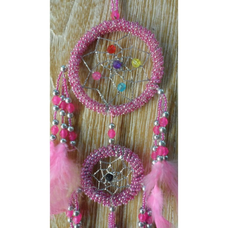 Dreamcatcher rose adak