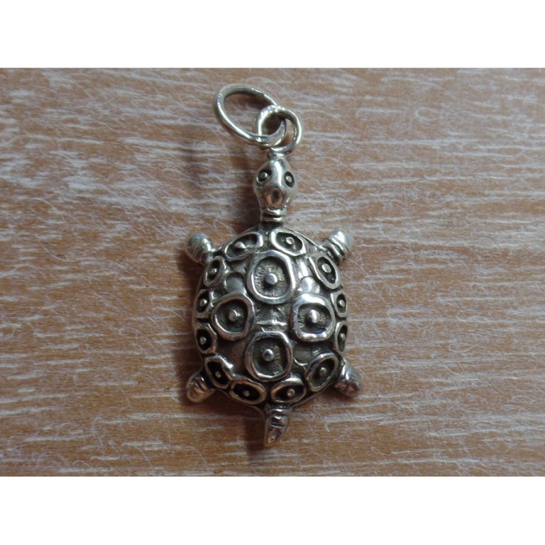 Pendentif tortue carapace décorée