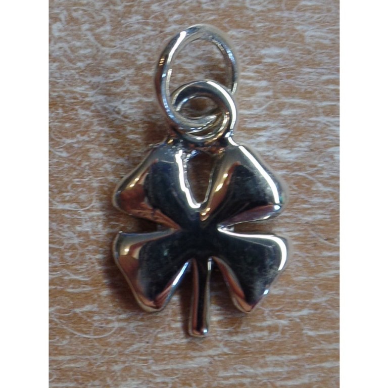 Pendentif porte bonheur