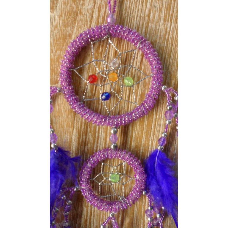 Dreamcatcher violet adak