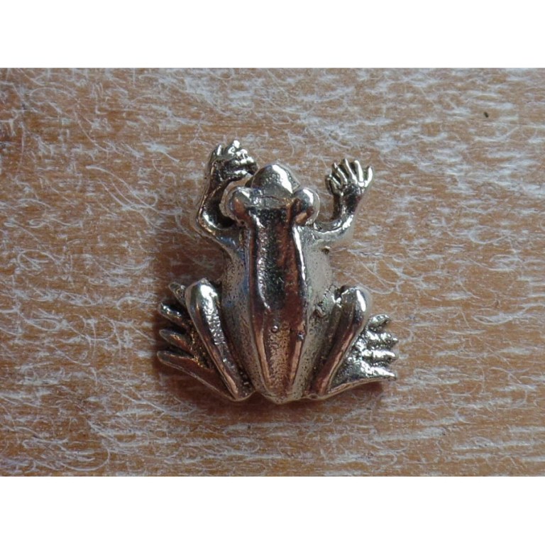 Pendentif grenouille