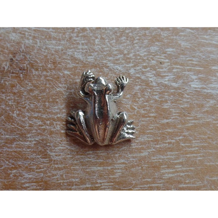 Pendentif grenouille