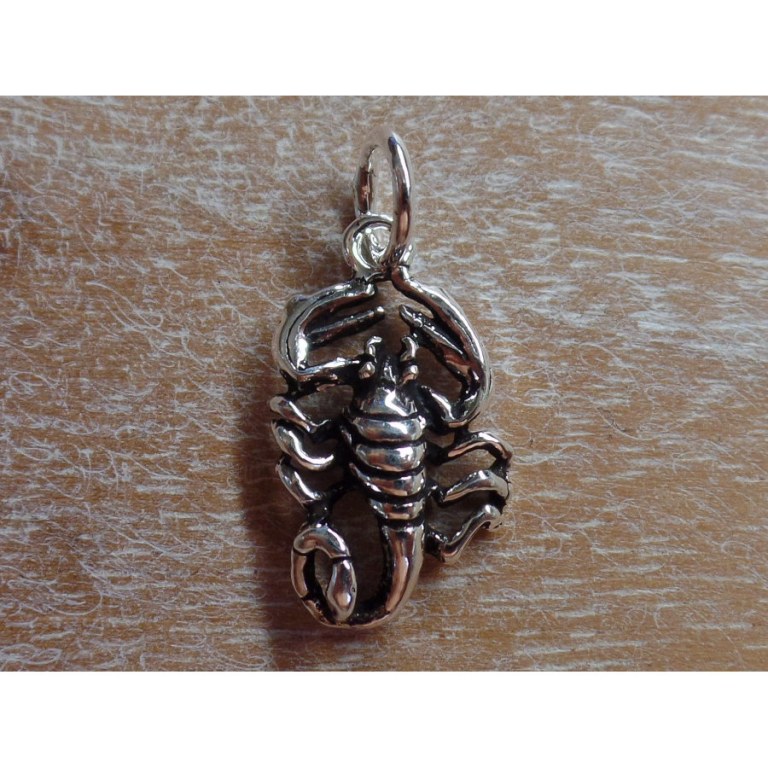 Pendentif scorpion