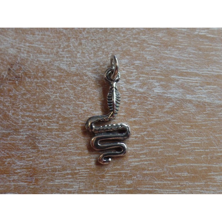 Pendentif serpent