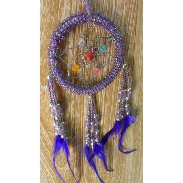 Dreamcatcher Aat parme/bleu