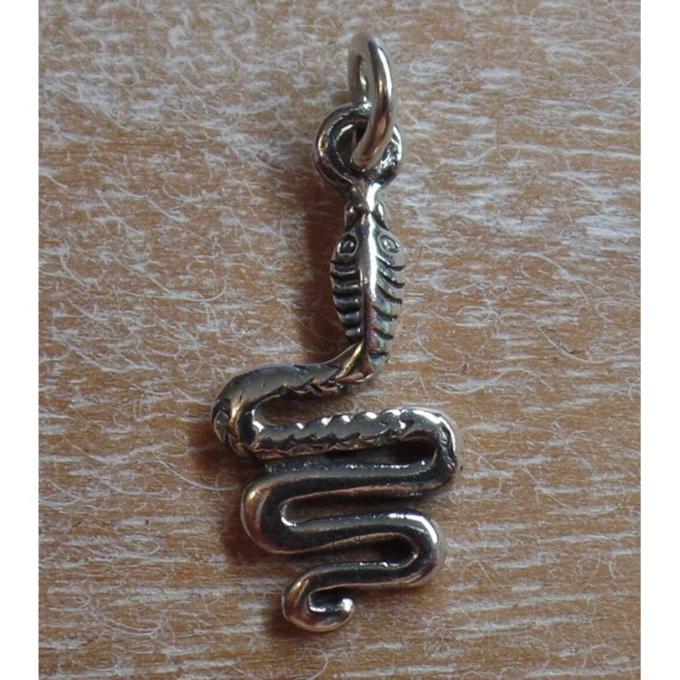 Pendentif serpent