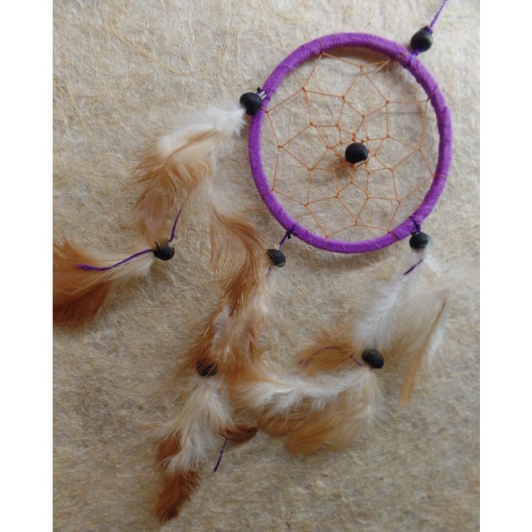 Dreamcatcher mauve hawi II