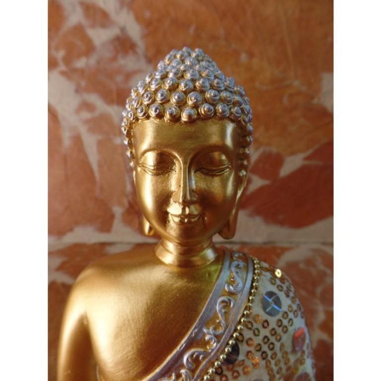 Bouddha bhumisparsha mudra 