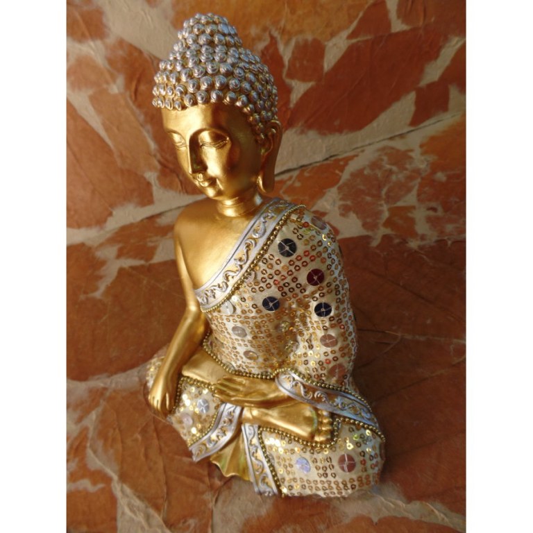 Bouddha bhumisparsha mudra 