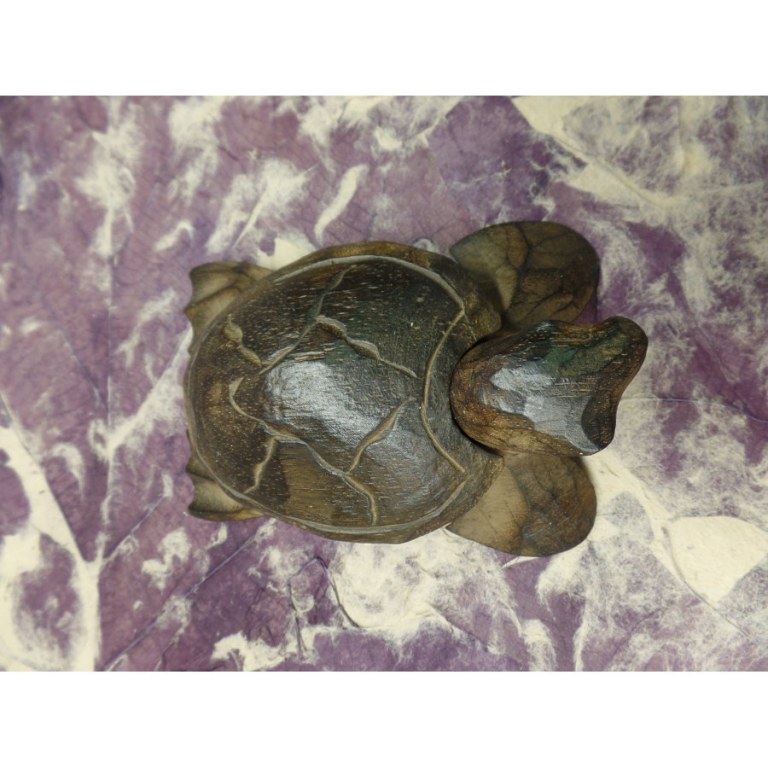 Tortue Serangan II