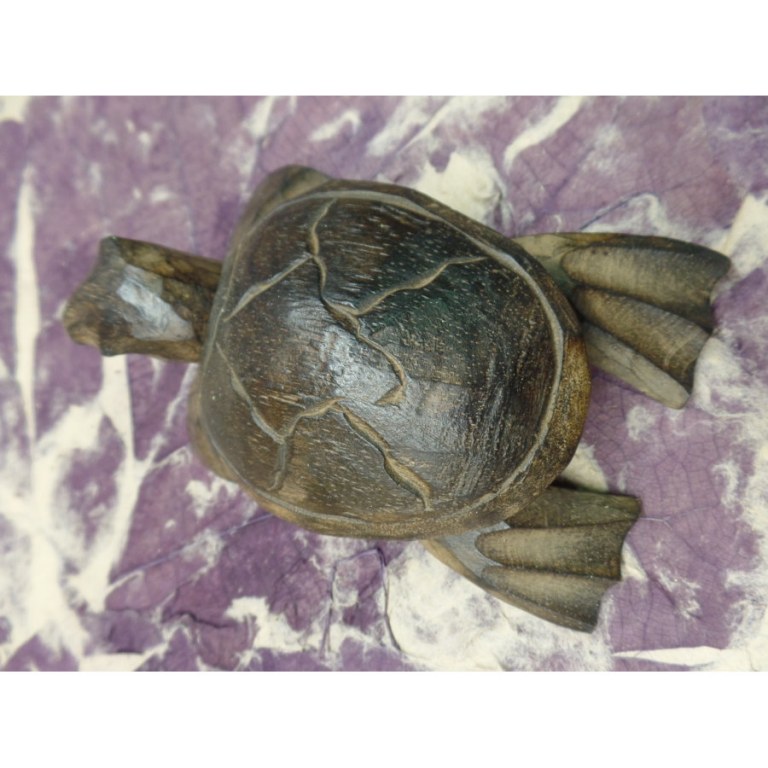 Tortue Serangan II