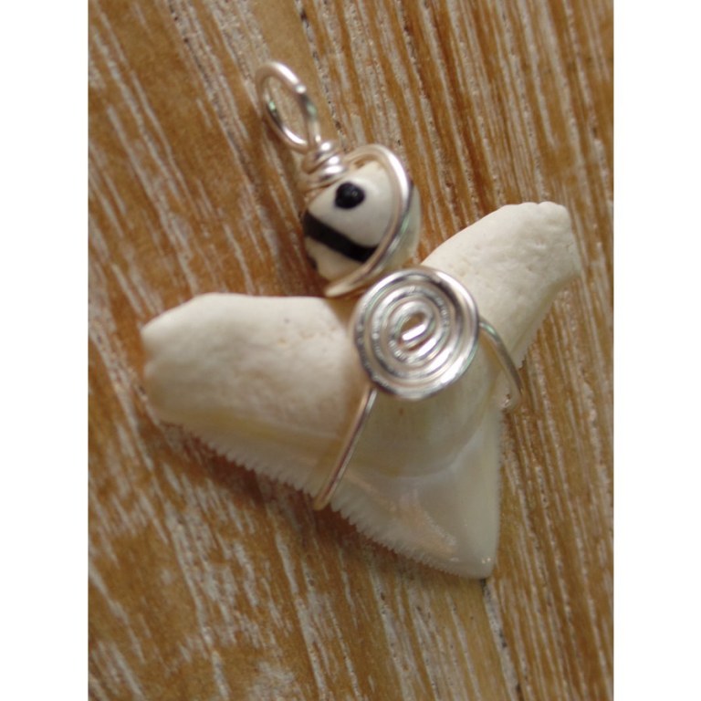 Pendentif dent de requin B1