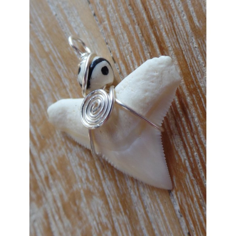 Pendentif dent de requin B1