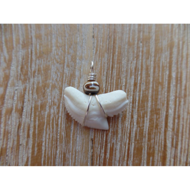 Pendentif petite dent de requin T1