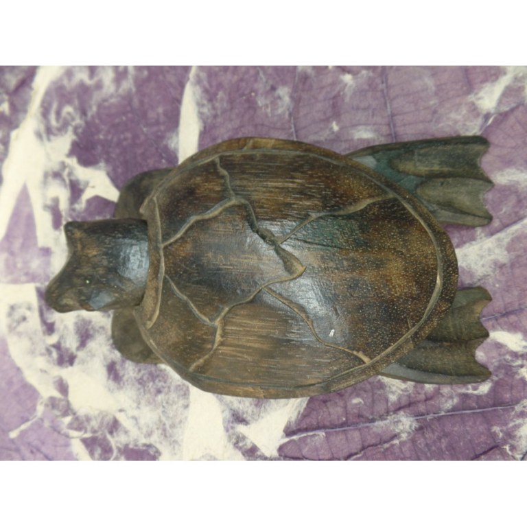 Tortue Serangan III