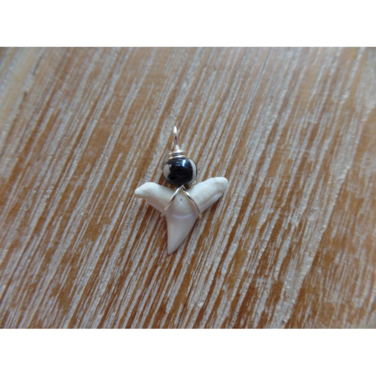 Pendentif dent de requin B2