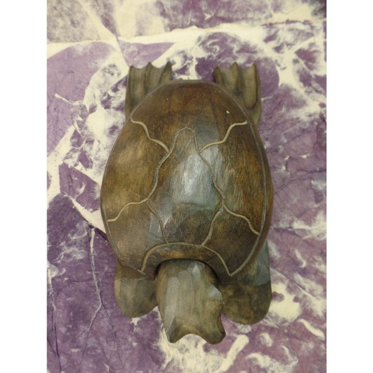 Tortue Serangan IV