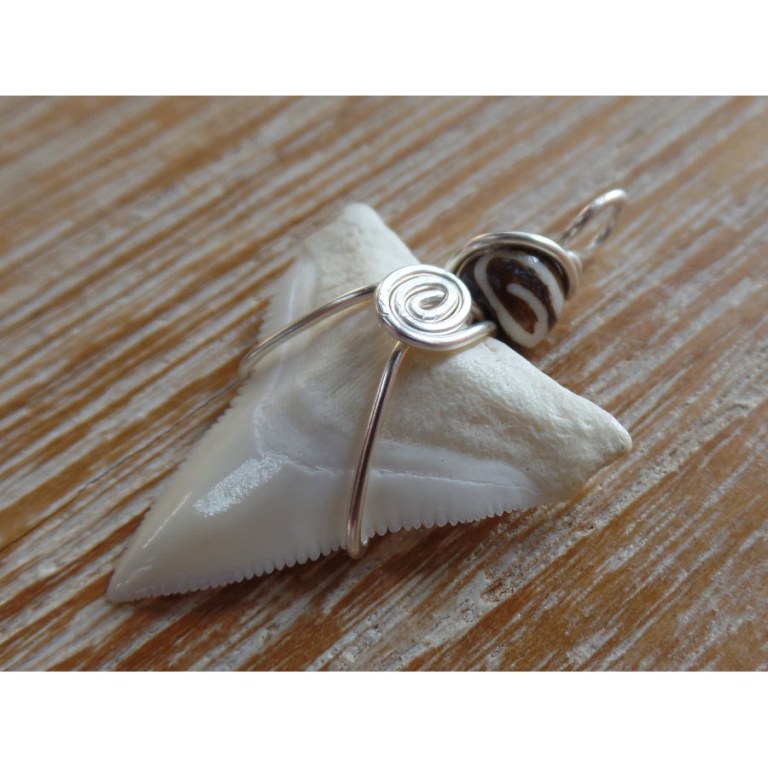 Pendentif dent de requin B4