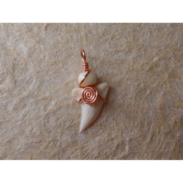 Pendentif spirale dent de requin blanc 2