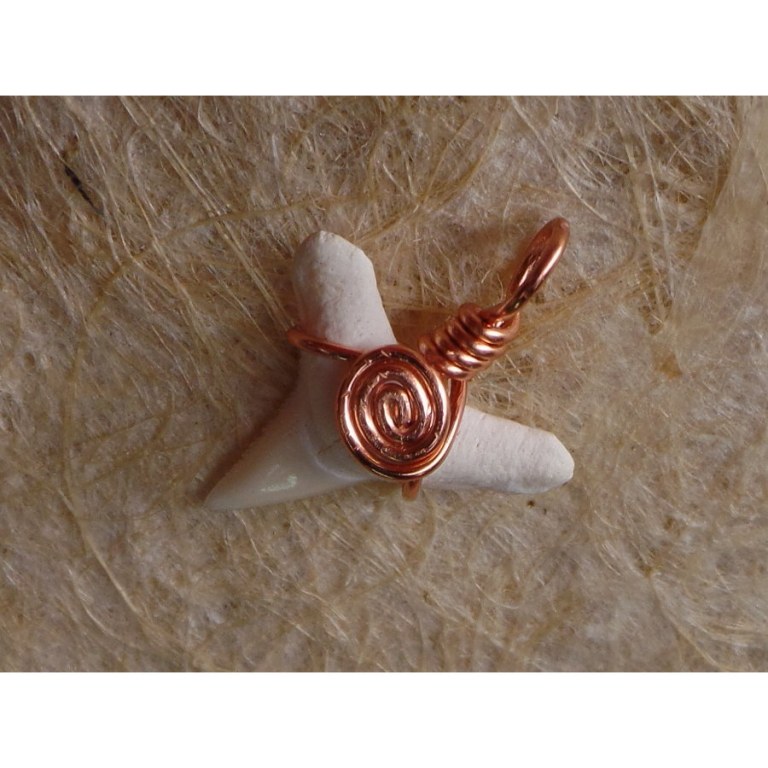 Pendentif petite dent de requin blanc 3