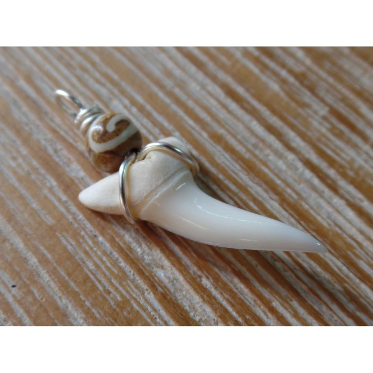 Pendentif dent de requin M4