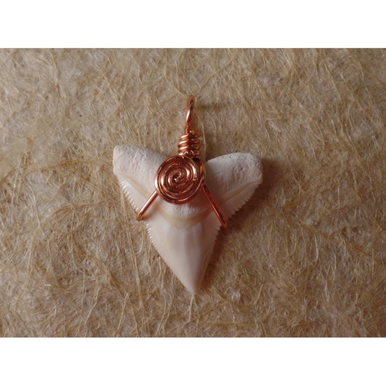 Pendentif dent de requin blanc 4