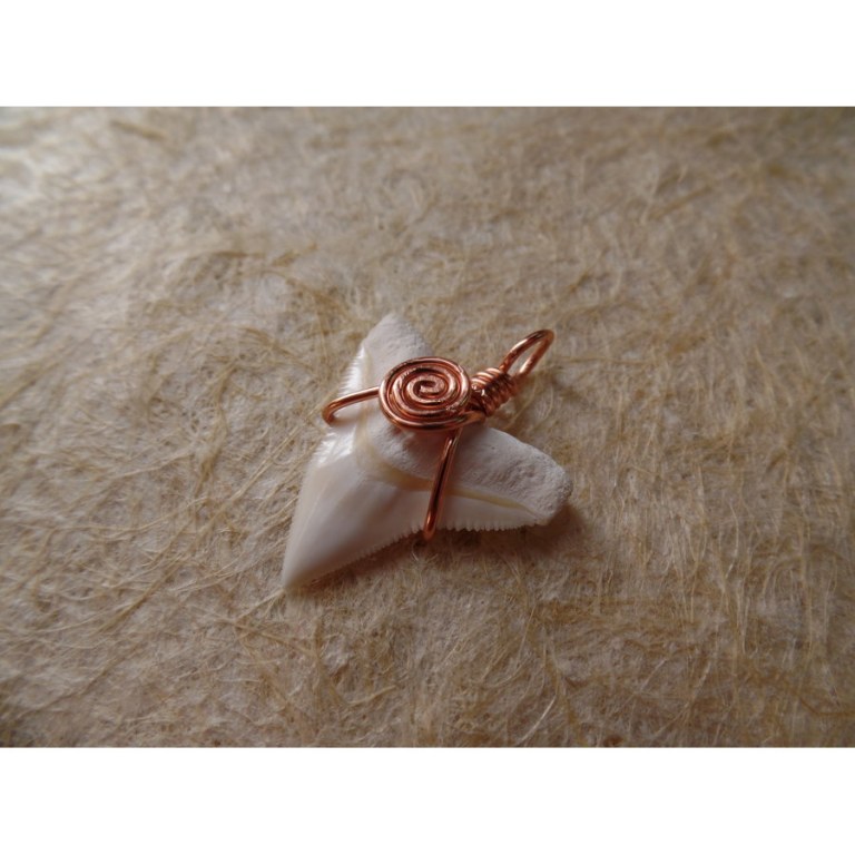 Pendentif dent de requin blanc 4