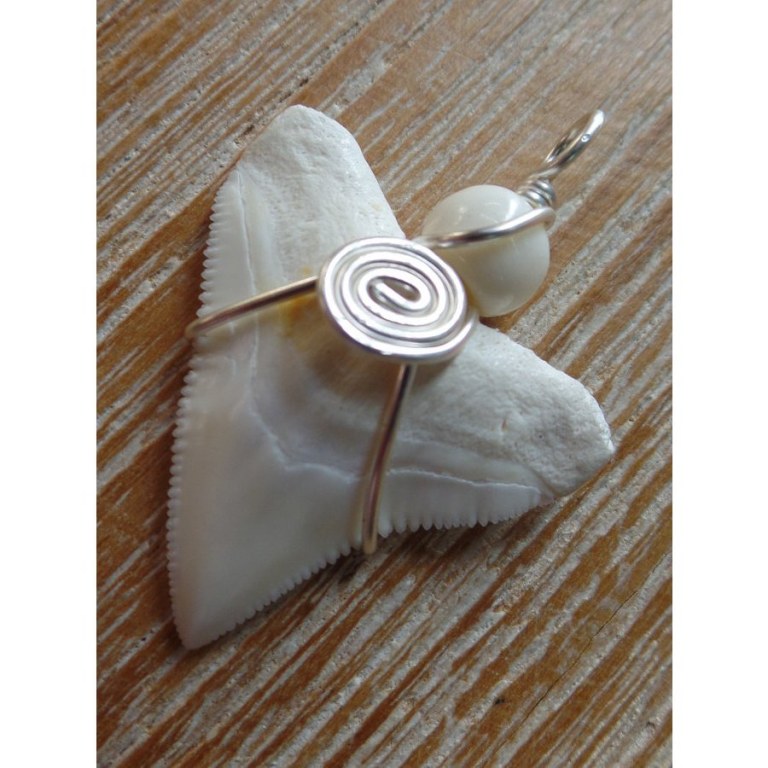 Pendentif dent de requin B8