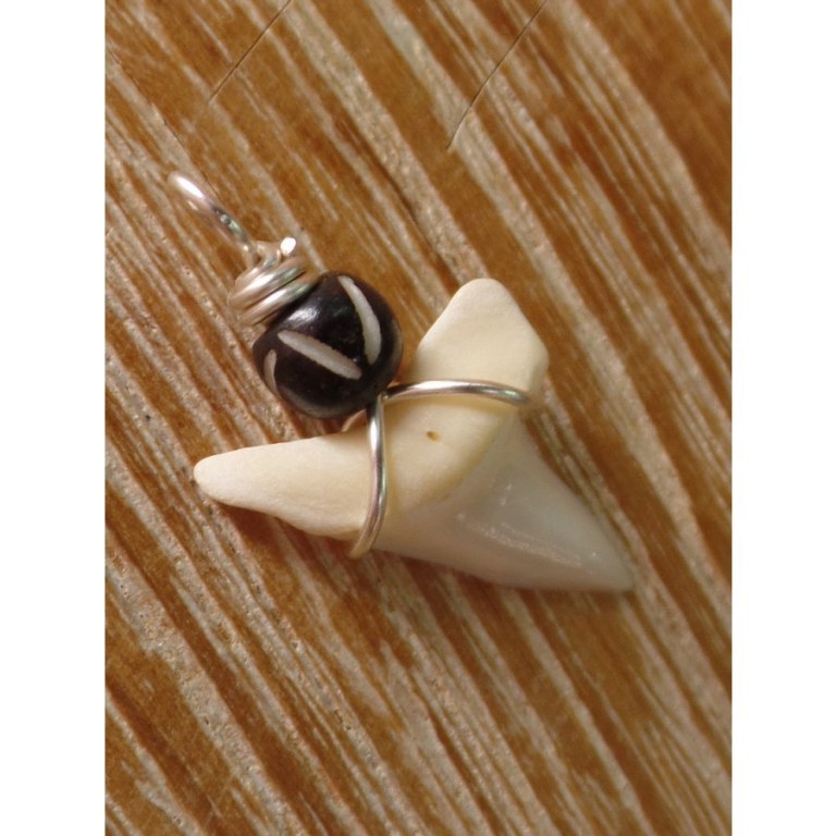 Pendentif dent de requin M6